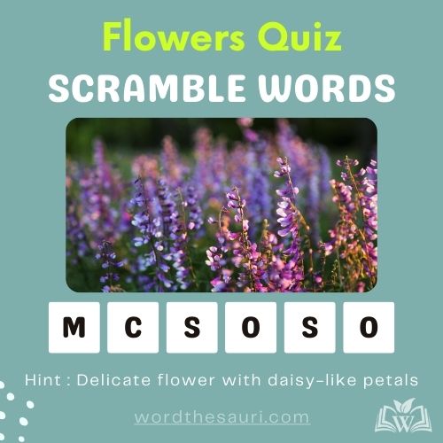 Guess the scramble words Flowers